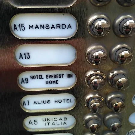 Alius Rome