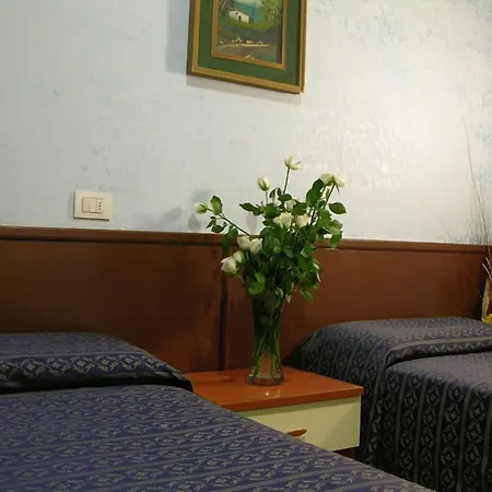 Hotel Alius 2*